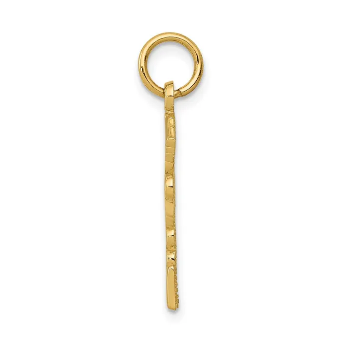 14k Registered Nurse Practitioner Charm TreasureFineJewelers Charm Necklaces